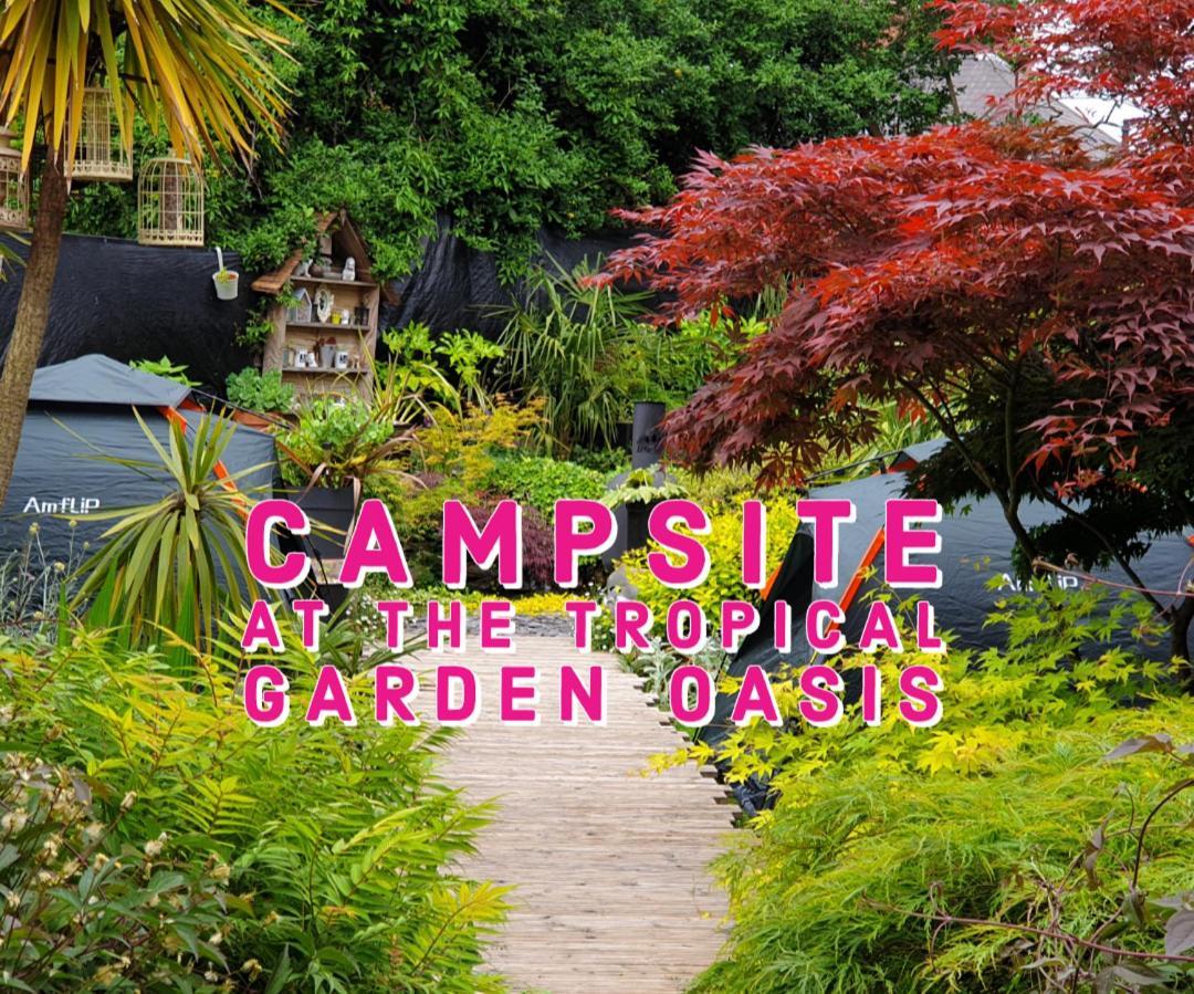 Tropical Garden Oasis Rooms Бирмингем Номер фото